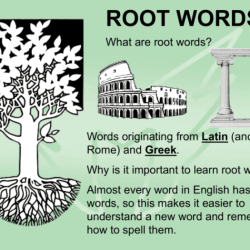 Words with the root anthrop