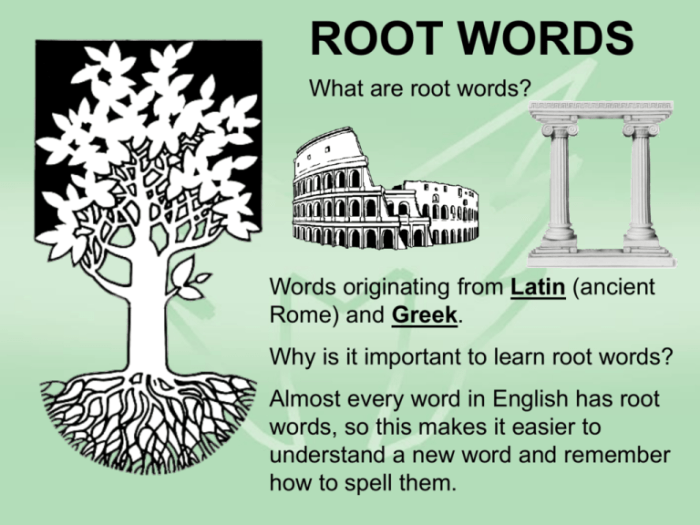 Words with the root anthrop