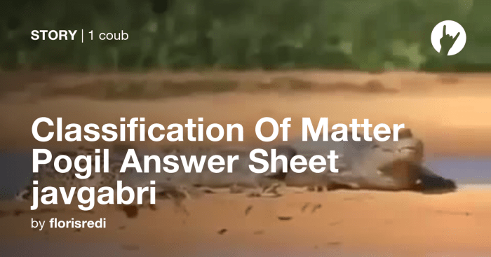 Classification of matter pogil answer key