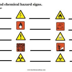 Lab safety symbols worksheet answers