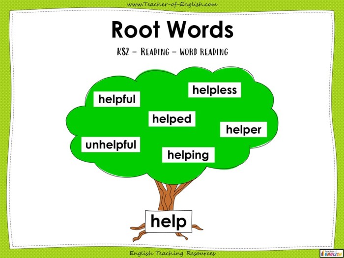 Roots prefix suffix prefixes suffixes dictionary root word words simple meaning common teaching ego origins alter ami other studylib