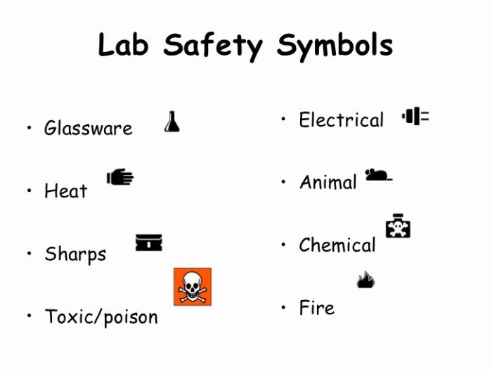 Lab safety symbols worksheet answers