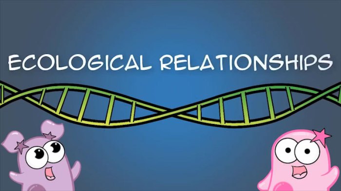 Amoeba sisters video recap ecological relationships answer key