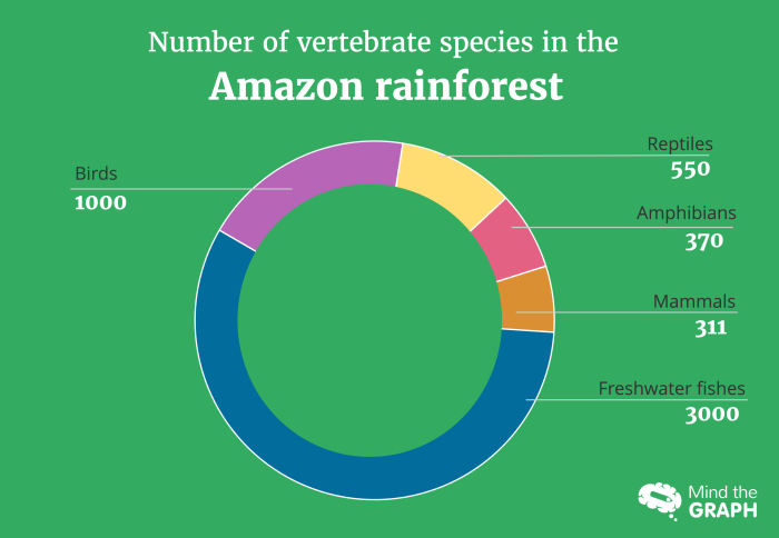 The sustainable use of rainforest resources is exemplified by