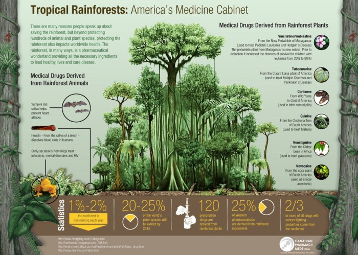 Preserving income generating renature rainforests rainforest deforestation