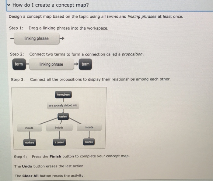 Concept map comparing artery and vein structure and function