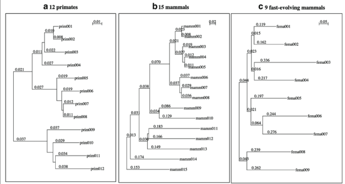 Phylogenetic sequences answers student