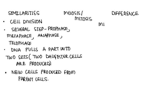 Bioflix activity meiosis comparing mitosis and meiosis