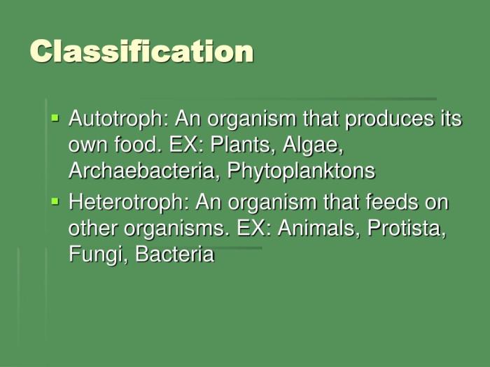 Reporting category 4 organisms and environment