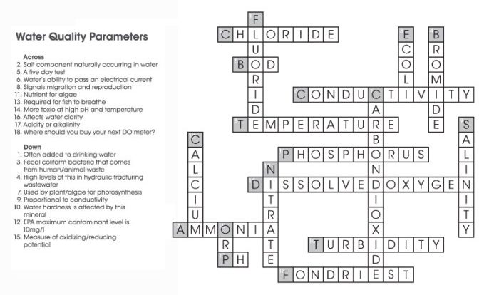 Environmental science crossword puzzle answer key