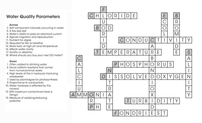 Environmental science crossword puzzle answer key