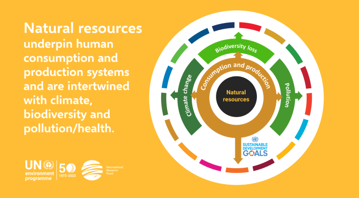 The sustainable use of rainforest resources is exemplified by