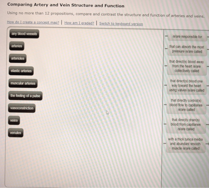 Using arteries propositions create concept map structure contrast compare function than veins vein artery blood comparing pressure muscular arterioles elastic