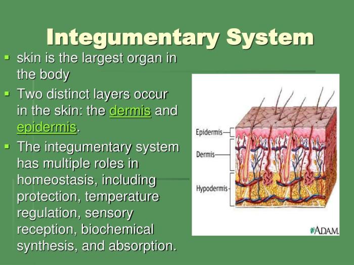 Reporting category 4 organisms and environment