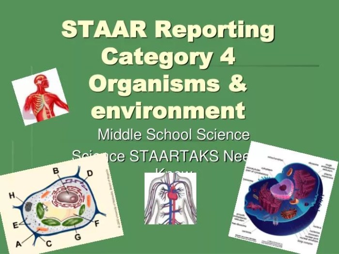 Reporting category 4 organisms and environment