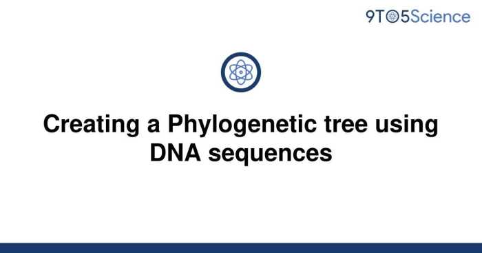 Phylogenetic dna sequences